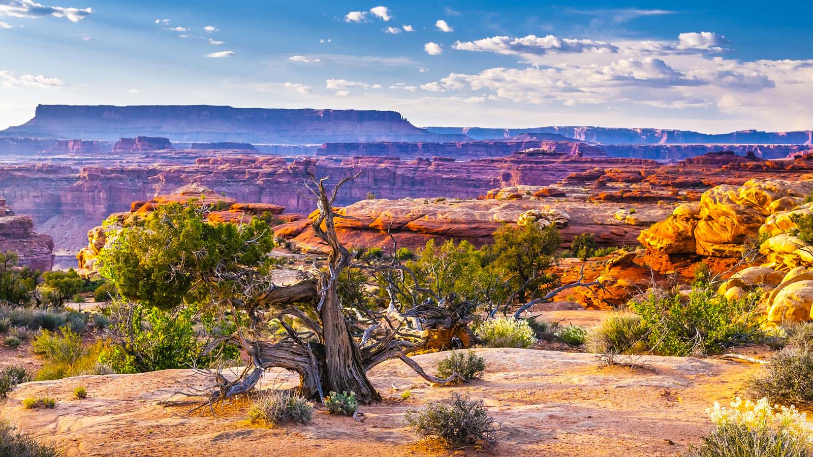 百夫長旅遊_美洲_美國-峽谷地國家公園-CANYONLAND-NATIONAL-PARK-shutterstock_143094568-M