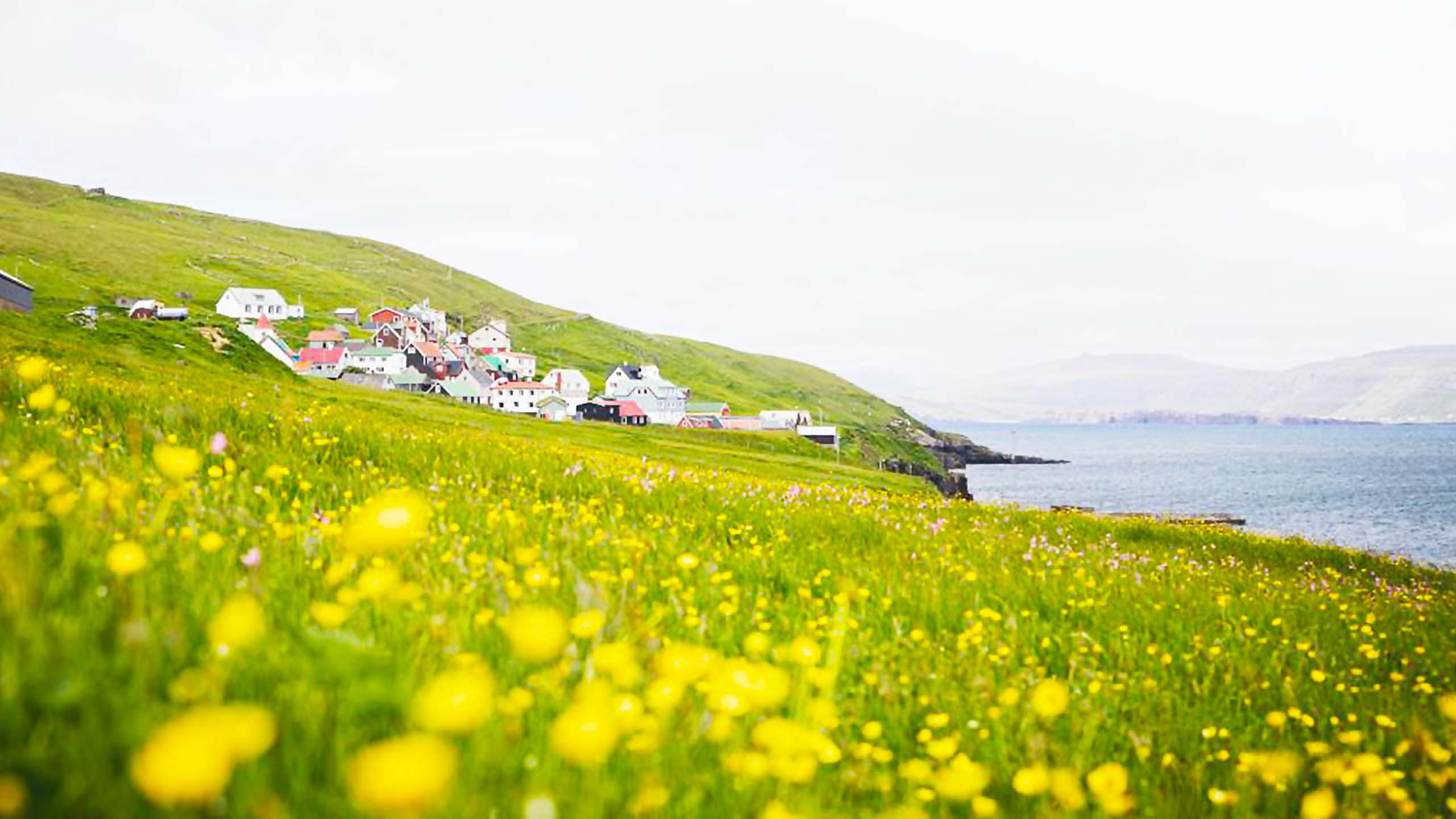 百夫長旅遊_歐洲_法羅群島．羅浮敦群島_斯庫島Skúvoy
