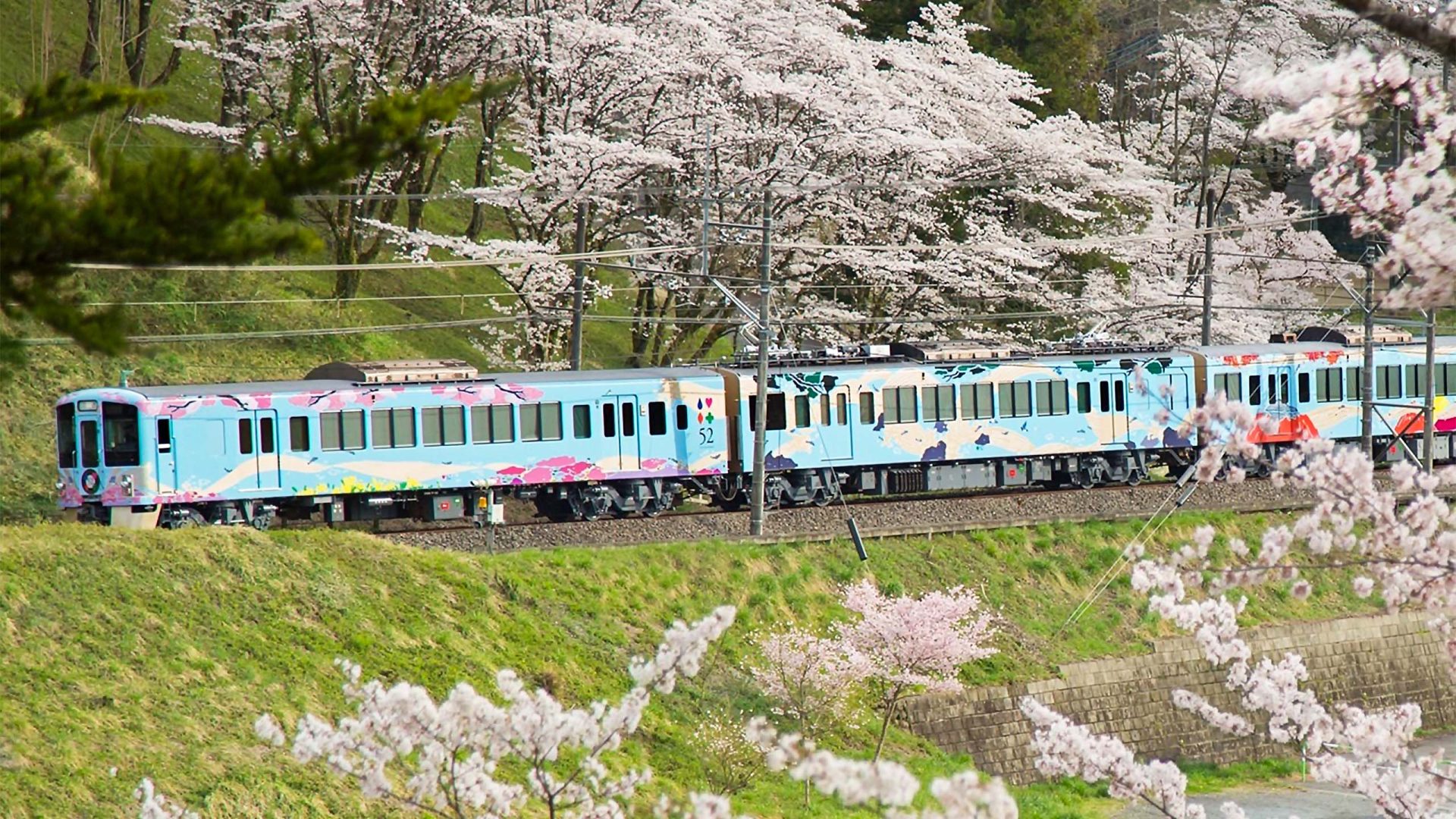 日本關東｜至福雙鐡賞櫻 — 地方創生．自然共生 6日