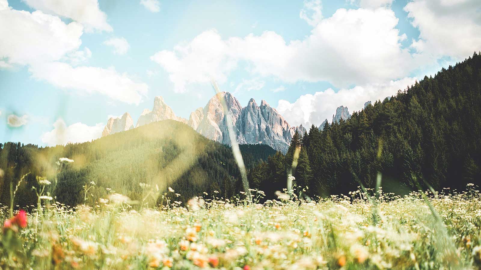 北義多洛米堤｜Dolomiti 夢開始的地方 — 新加坡航空輕奢版